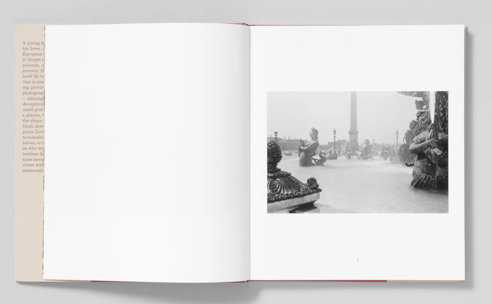 Love's Labour — Sergio Purtell